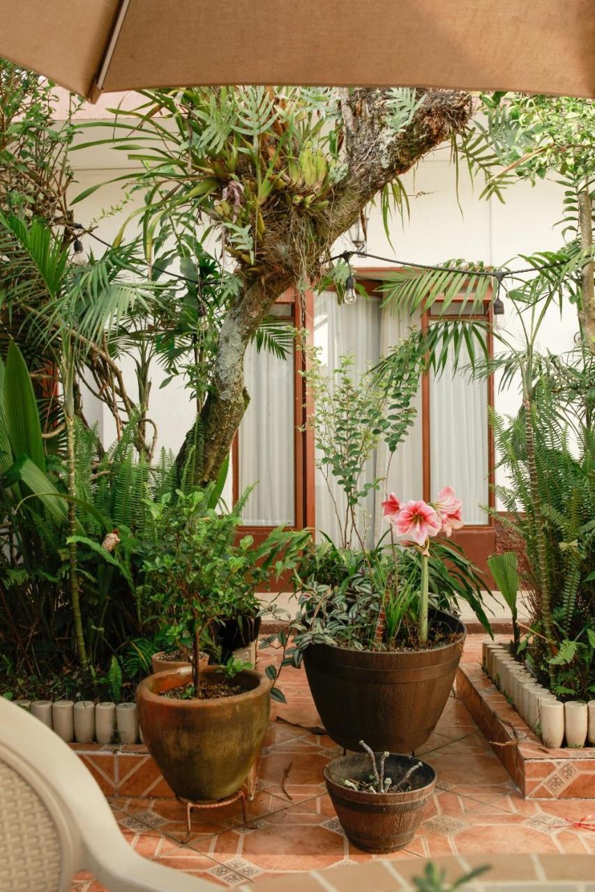 Posada Galeria Alberto Sedas Huatusco Exterior photo